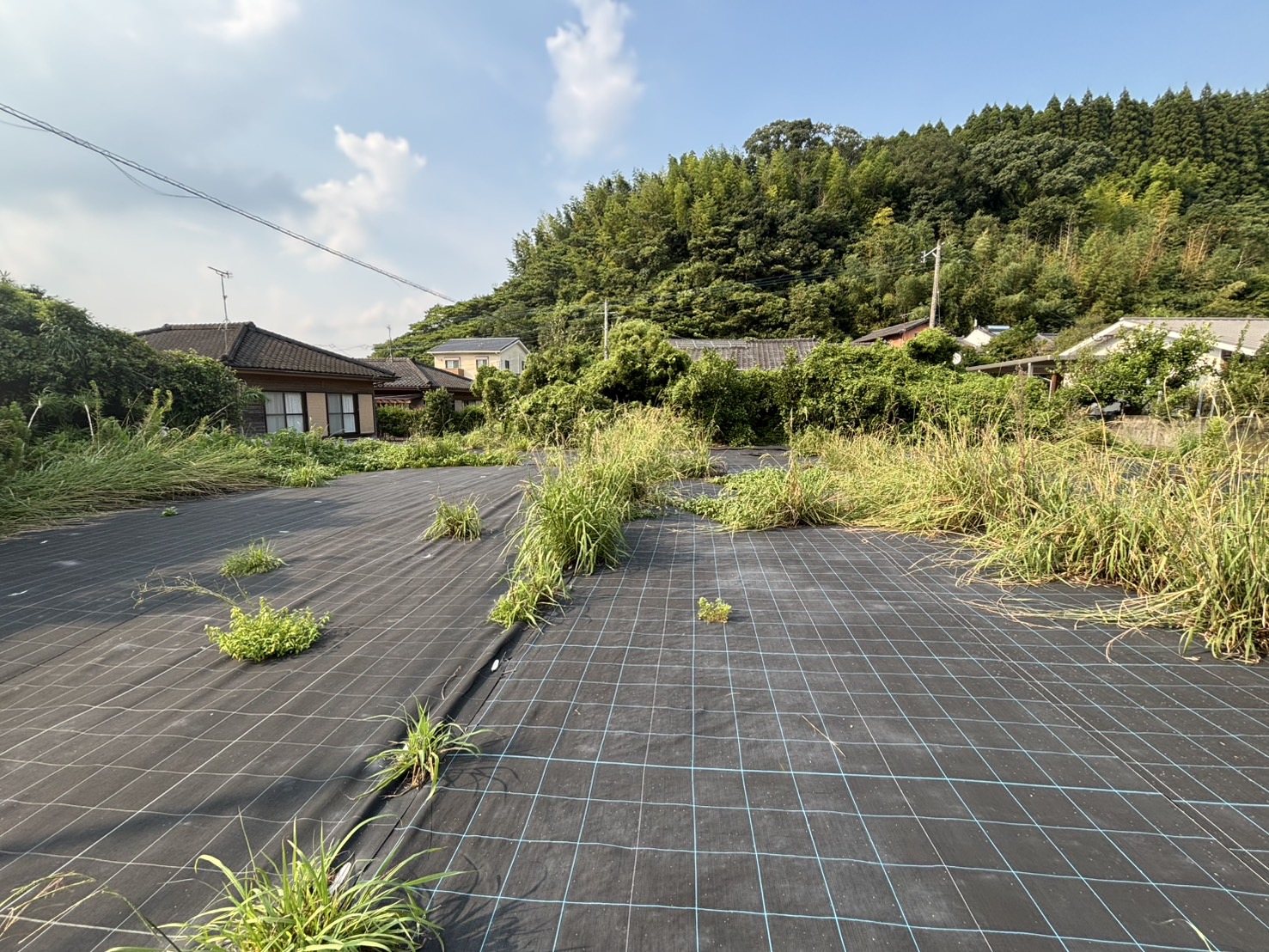 姶良市　蒲生町　上久徳　売地　1,460万円