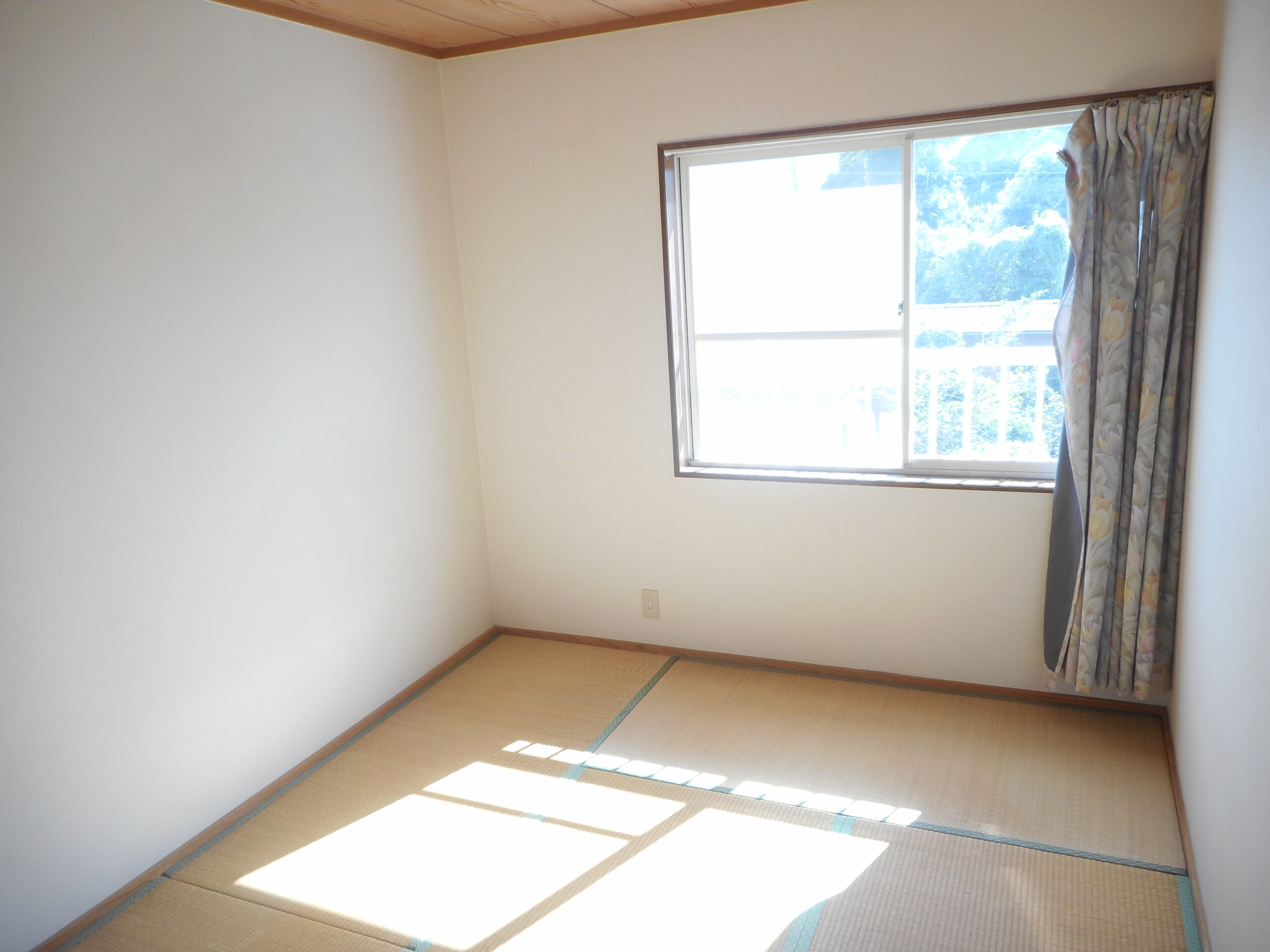 プレディアイラ201