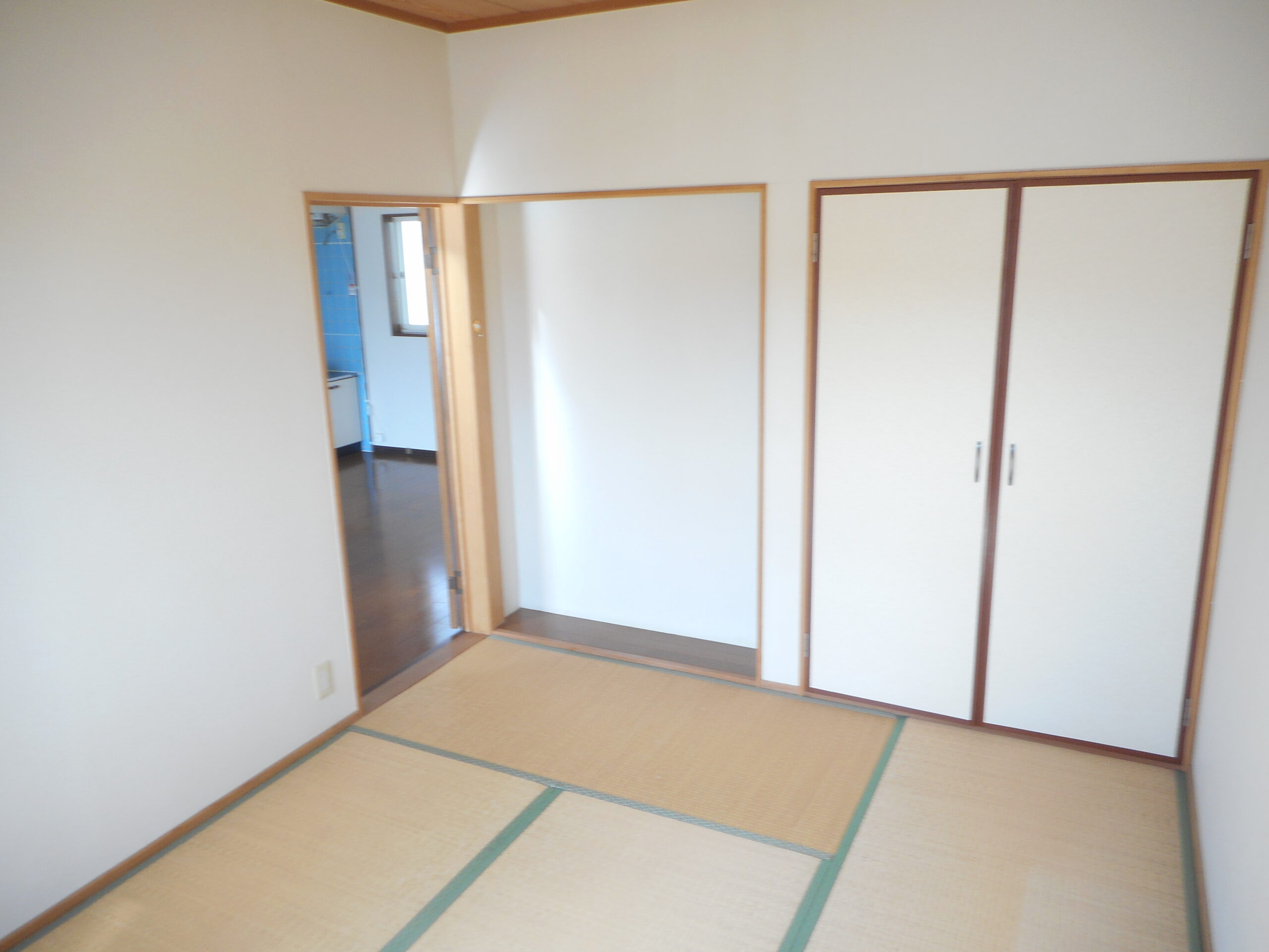 プレディアイラ201