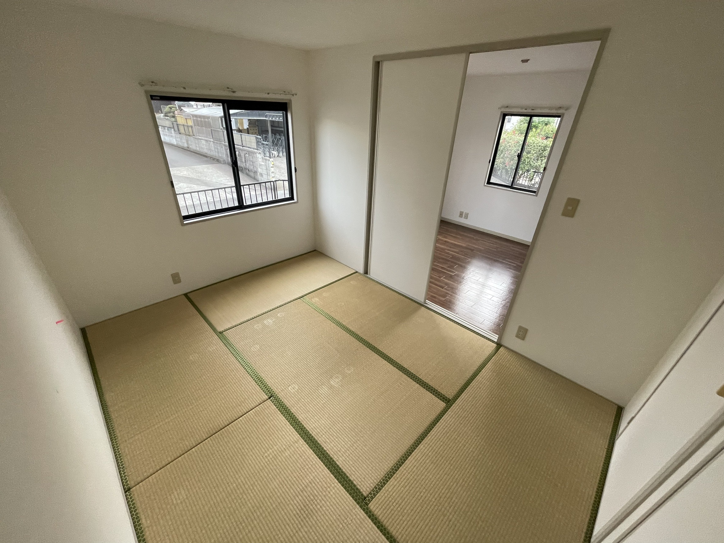 エルグランド　101