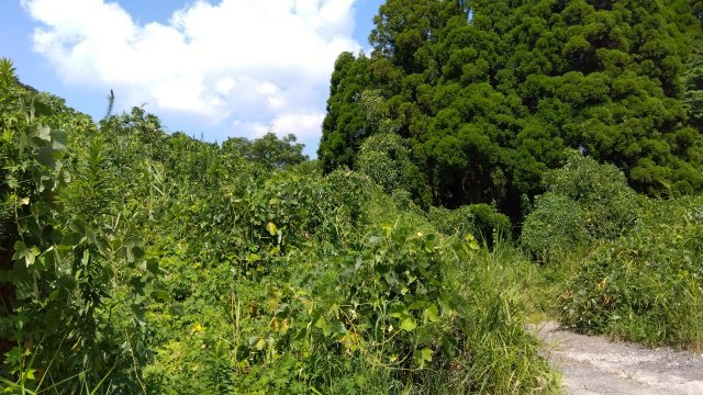 姶良市船津 資材置場倉庫あり 3098.49坪 3,800万円