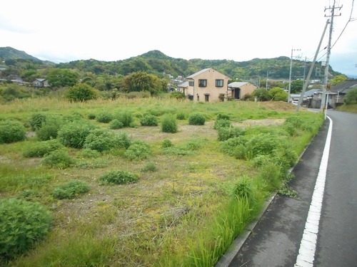 鹿児島県　霧島市　隼人町小浜　売土地　1594.77坪