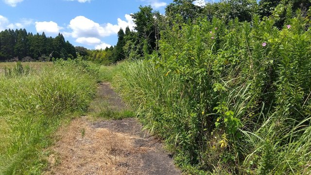 姶良市　加治木町西別府　売地　241.99坪　50万円