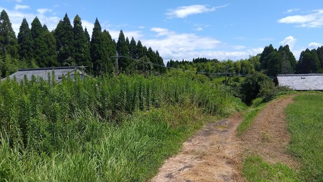 姶良市　加治木町西別府　売地　241.99坪　50万円