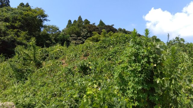 姶良市船津 資材置場倉庫あり 3098.49坪 3,800万円